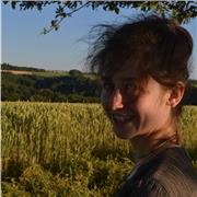 Doy clases de cualquier tipo, en grupo, particular, academia, privado